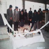 1984 사랑밭 신축공사